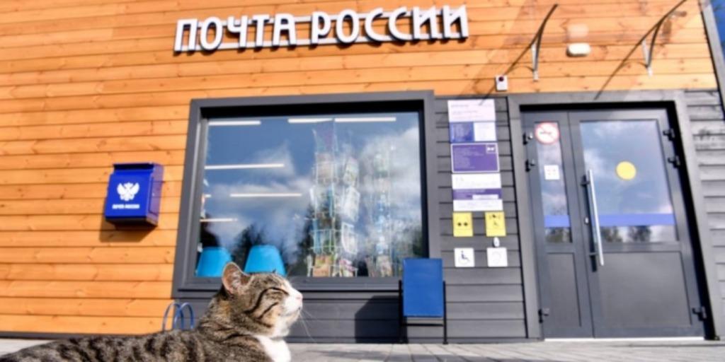 09.04.2025 «Почте России» могут разрешить продажу лекарств без лицензии в малонаселенных пунктах